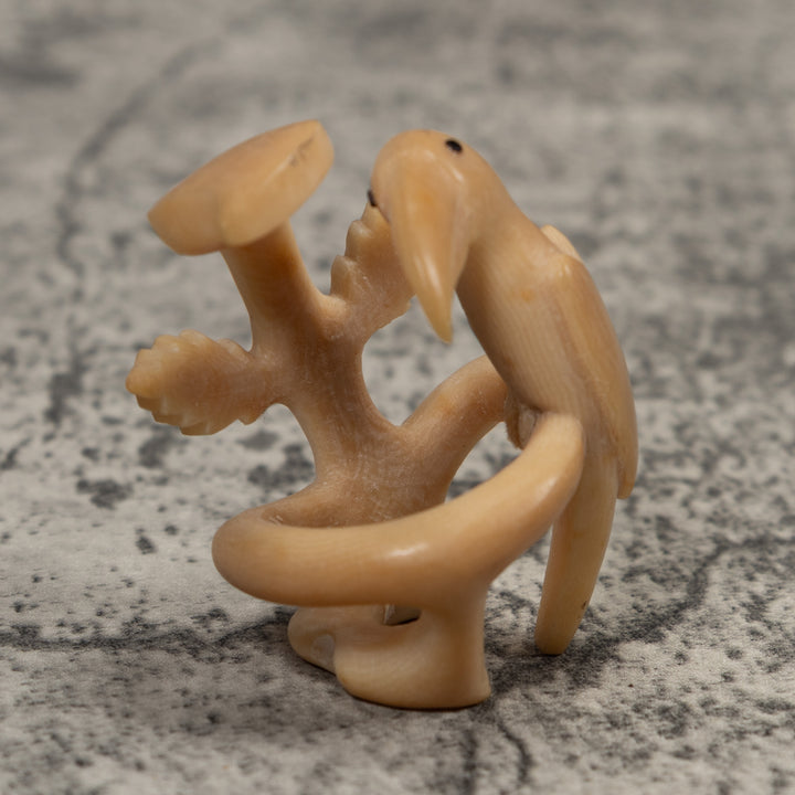 Vintage White Toucan Parrot Bird Tagua Carving