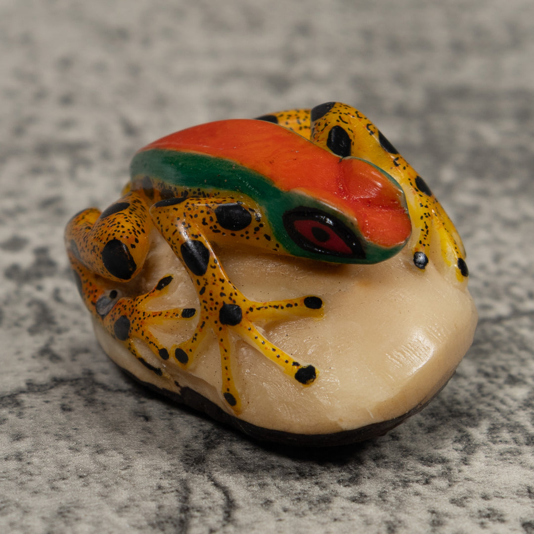Poison Dart Frog Tagua Carving