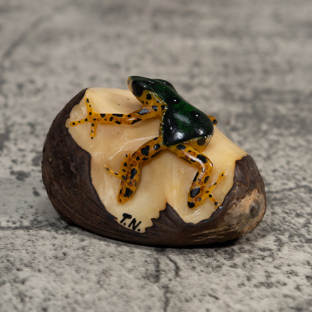 Gold And Black Poison Dart Frog Tagua Carving
