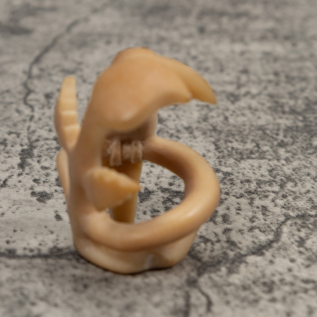 Vintage White Toucan Parrot Bird Tagua Carving