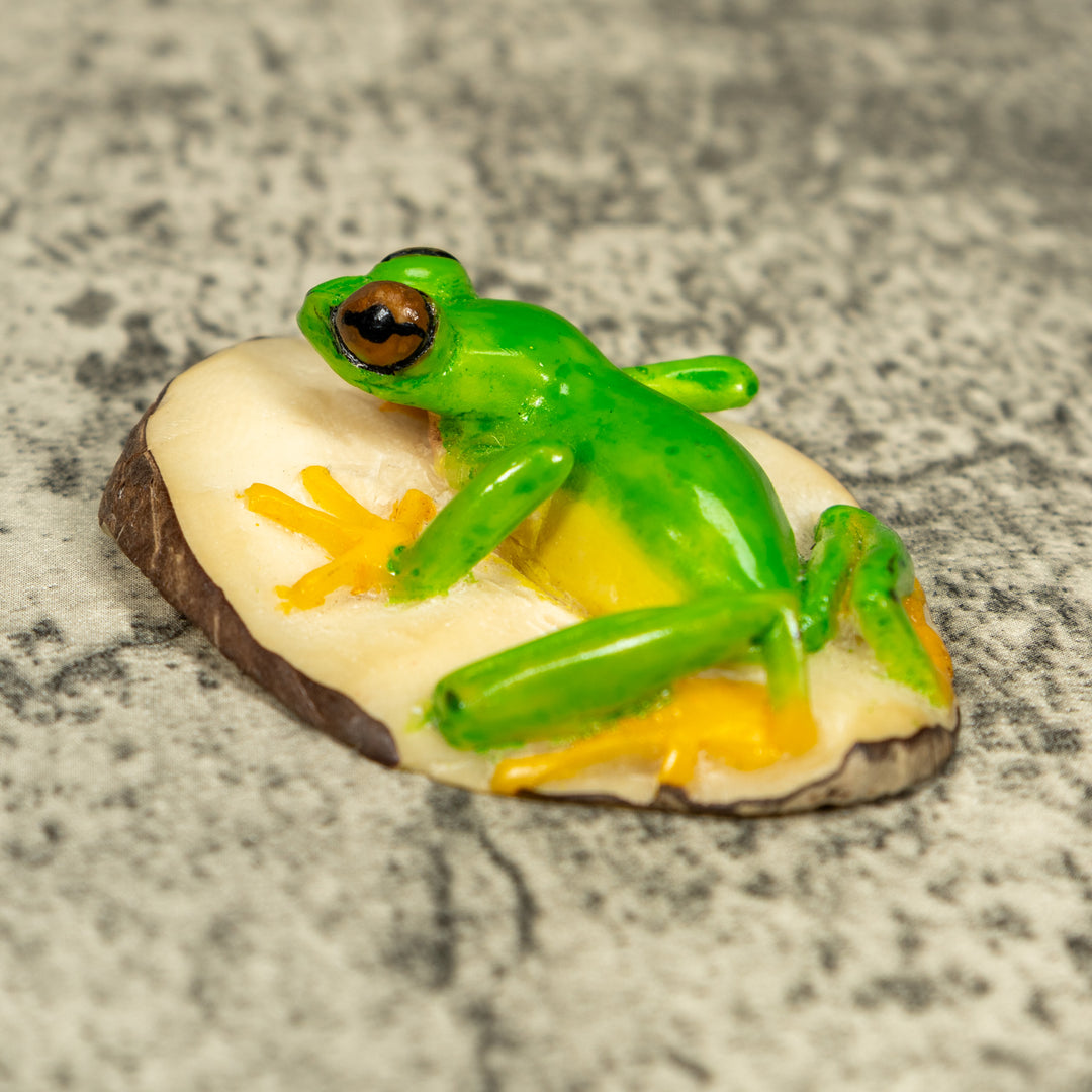 Red-Eye Tree Frog Tagua Carving