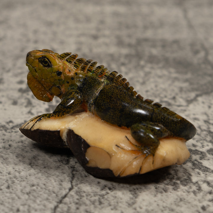 Iguana Lizard Reptile Tagua Carving