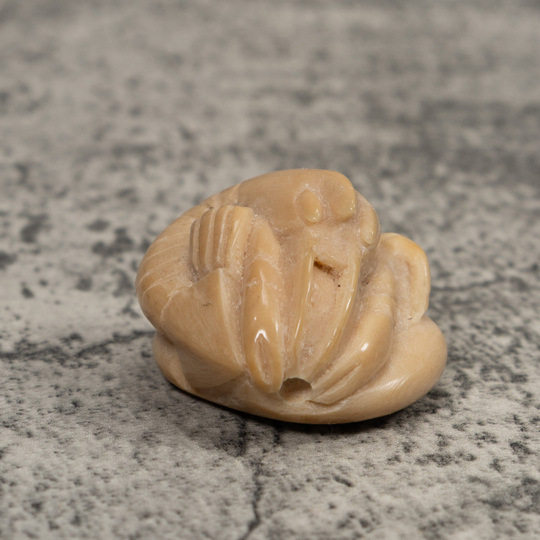 Vintage White Shrimp Tagua Carving