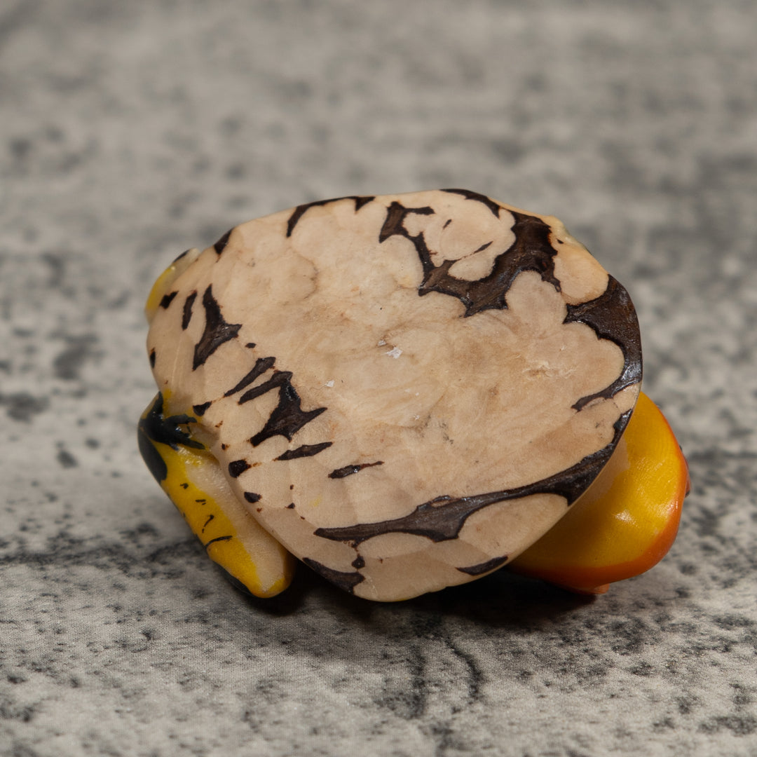 Vintage Black And Gold Poison Dart Frog Tagua Carving
