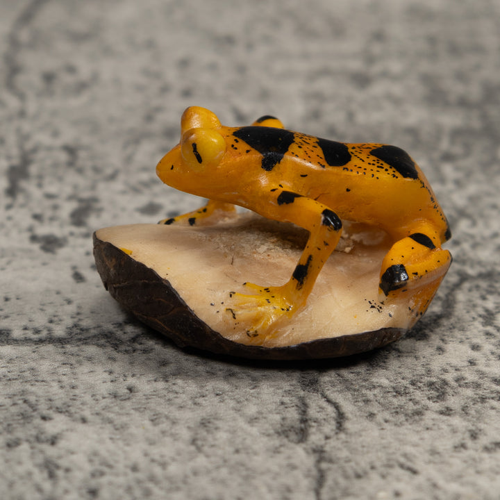 Vintage Gold And Black Frog Tagua Carving