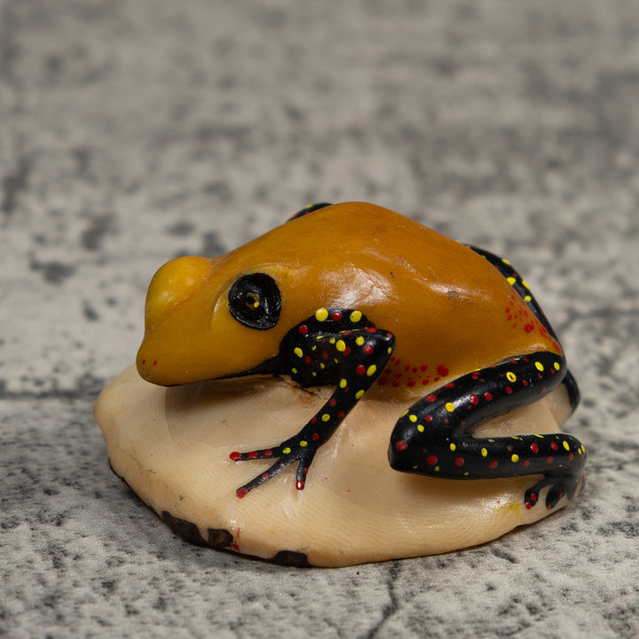 Gold And Black Poison Dart Frog Tagua Carving