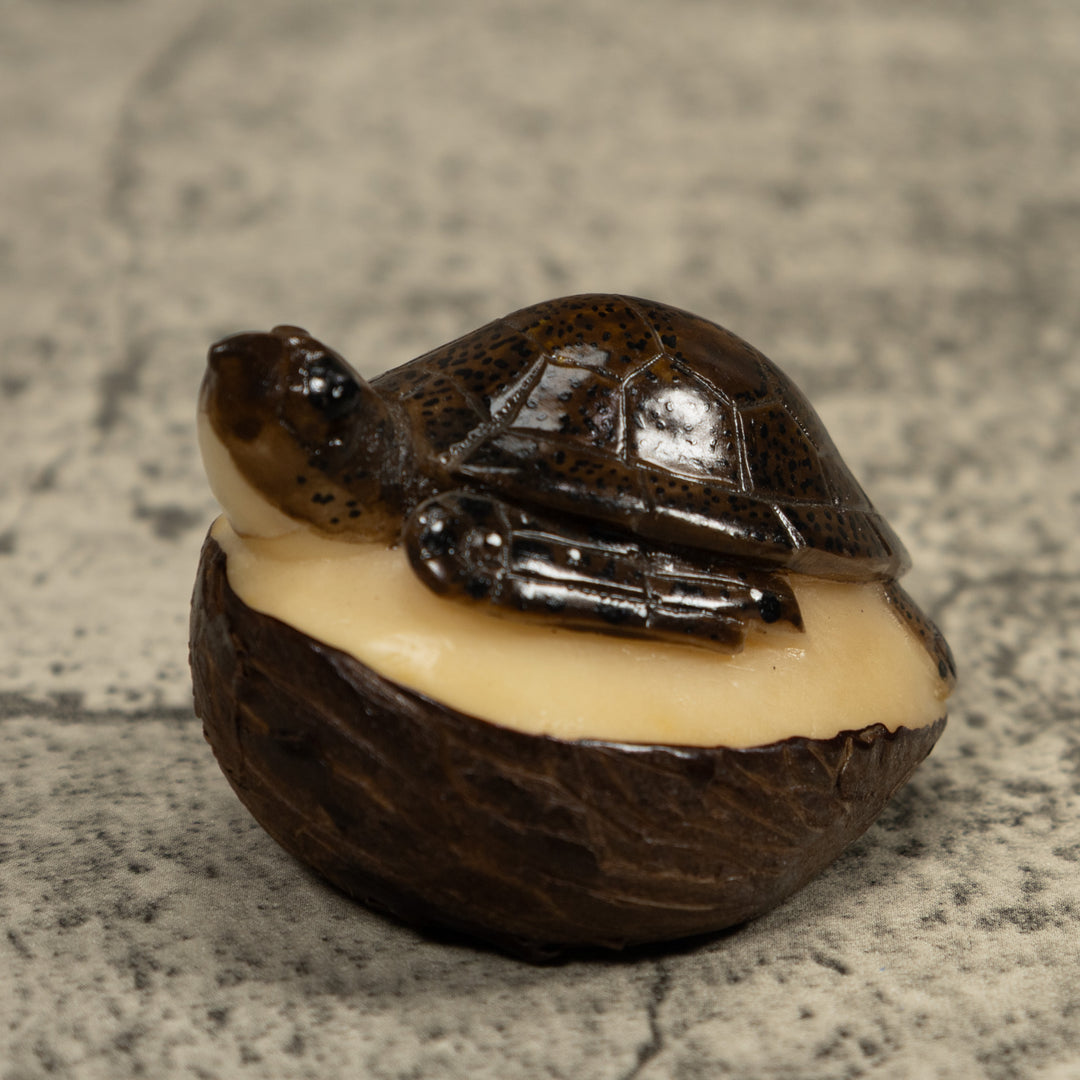 Sea Turtle Tagua Carving