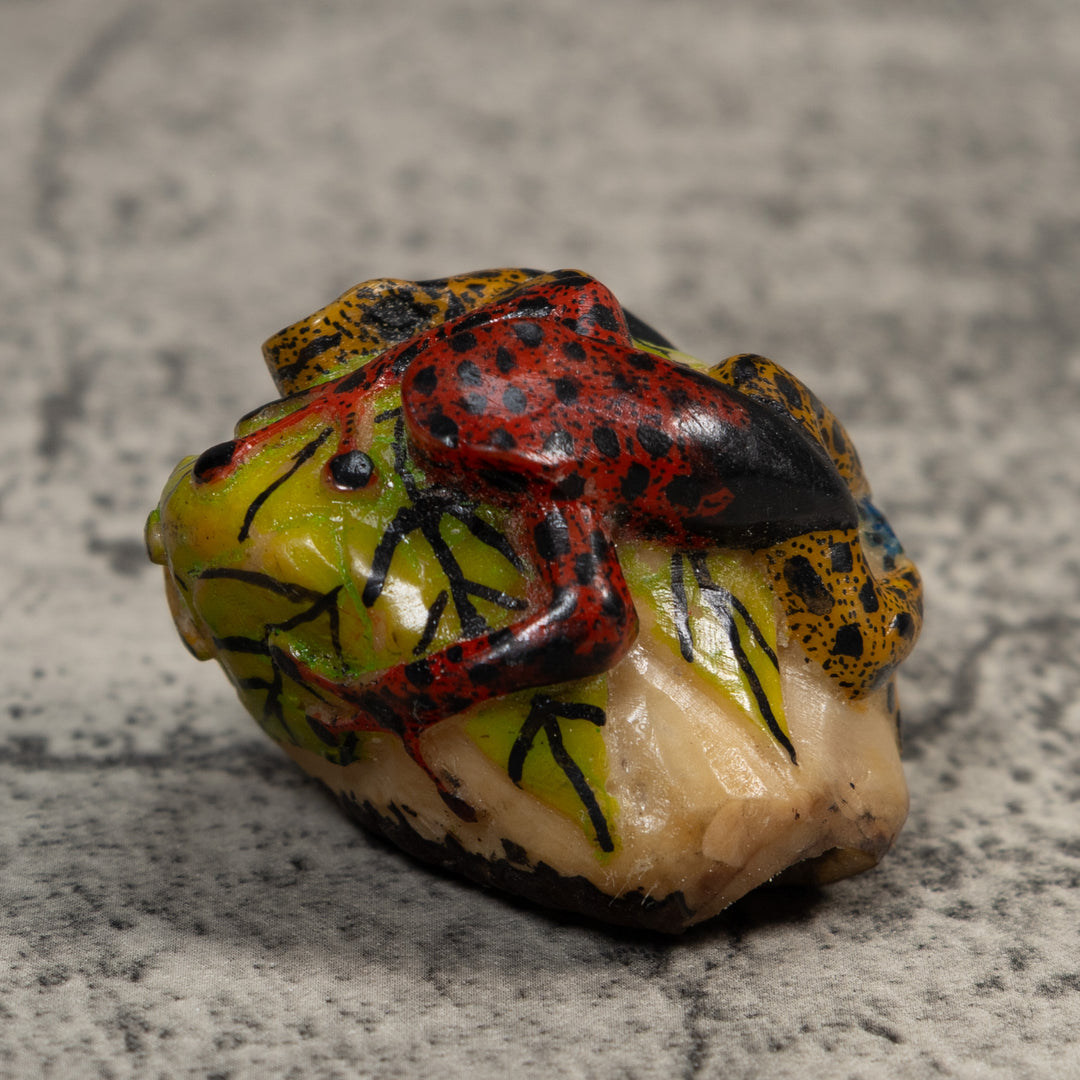 Gold Black And Red Double Poison Dart Frog Tagua Carving