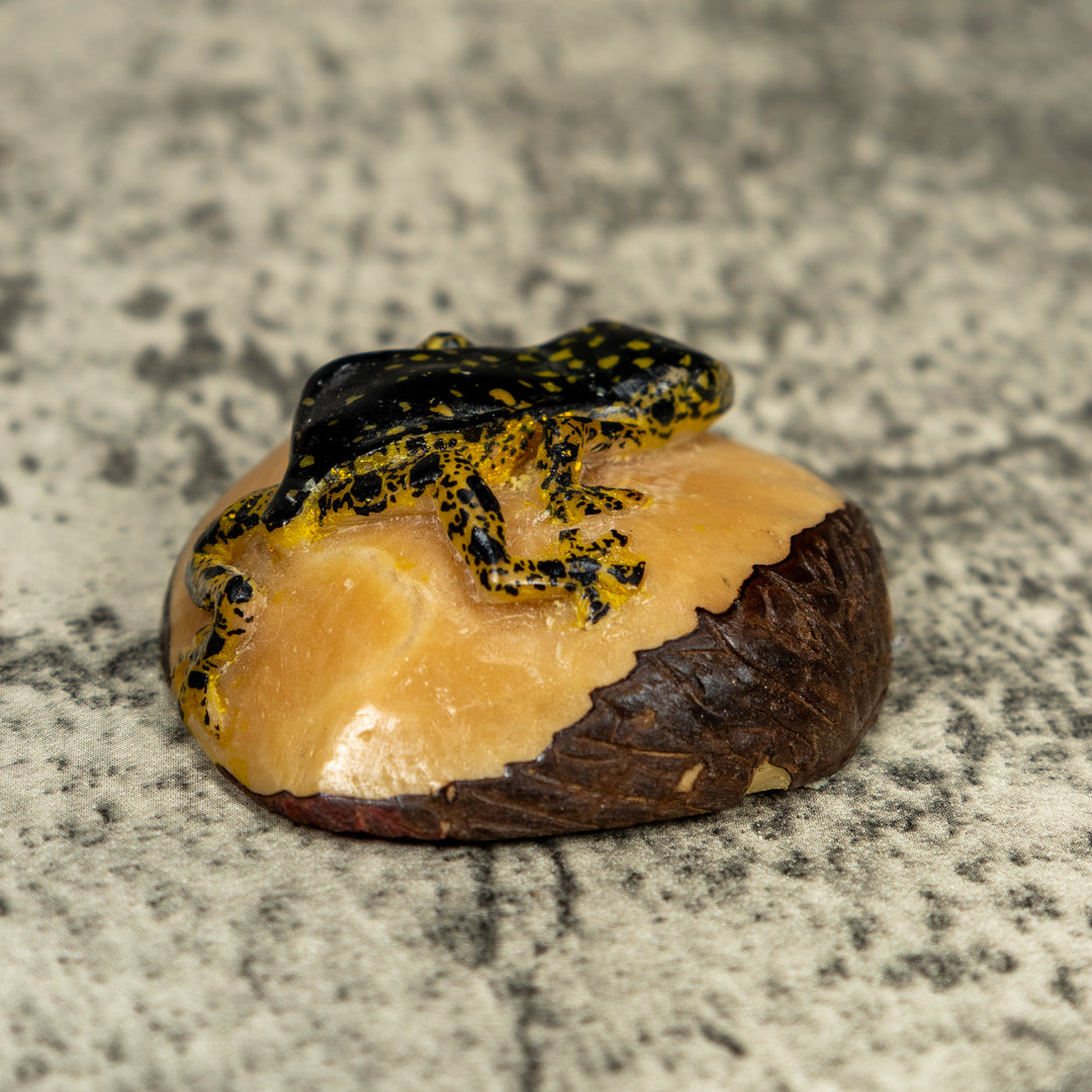 Vintage Black And Gold Rainforest Frog Tagua Carving