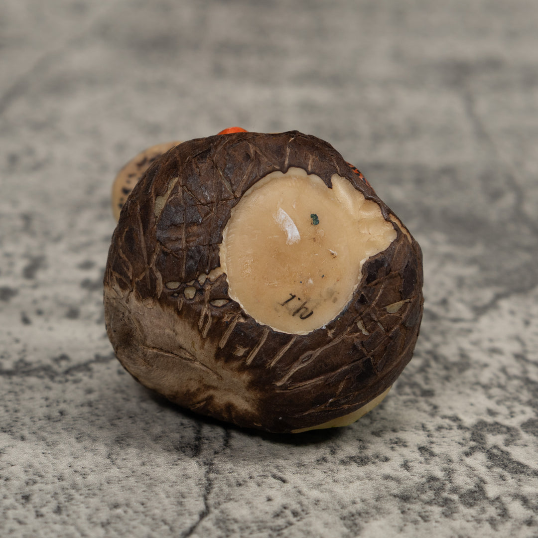 Poison Dart Frog With Mushroom Tagua Carving