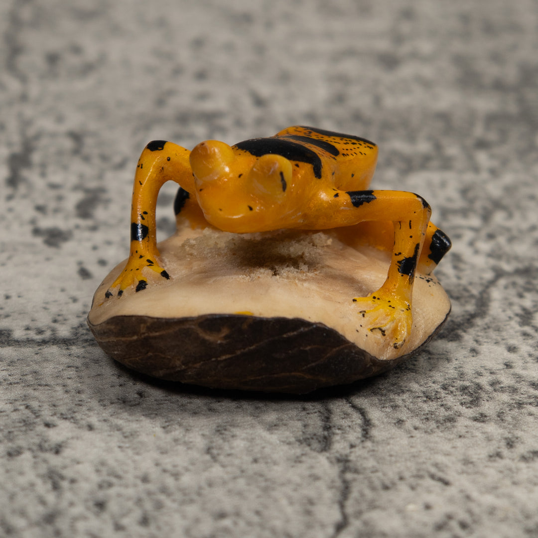 Vintage Gold And Black Frog Tagua Carving