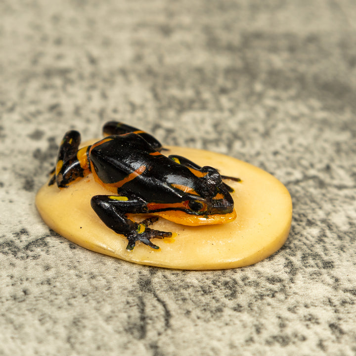 Vintage Black And Gold Frog Tagua Carving