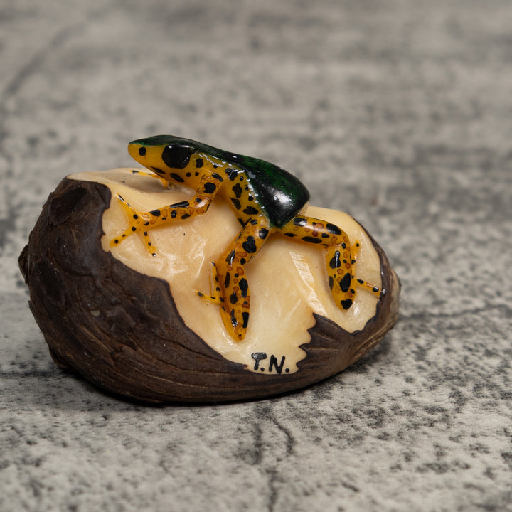 Gold And Black Poison Dart Frog Tagua Carving