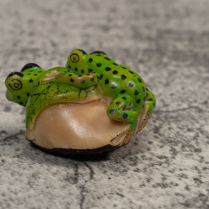 Double Black And Green Rainforest Frog Tagua Carving