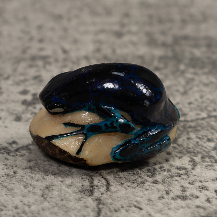 Vintage Dark Blue Frog Tagua Carving