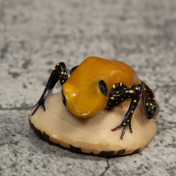 Gold And Black Poison Dart Frog Tagua Carving
