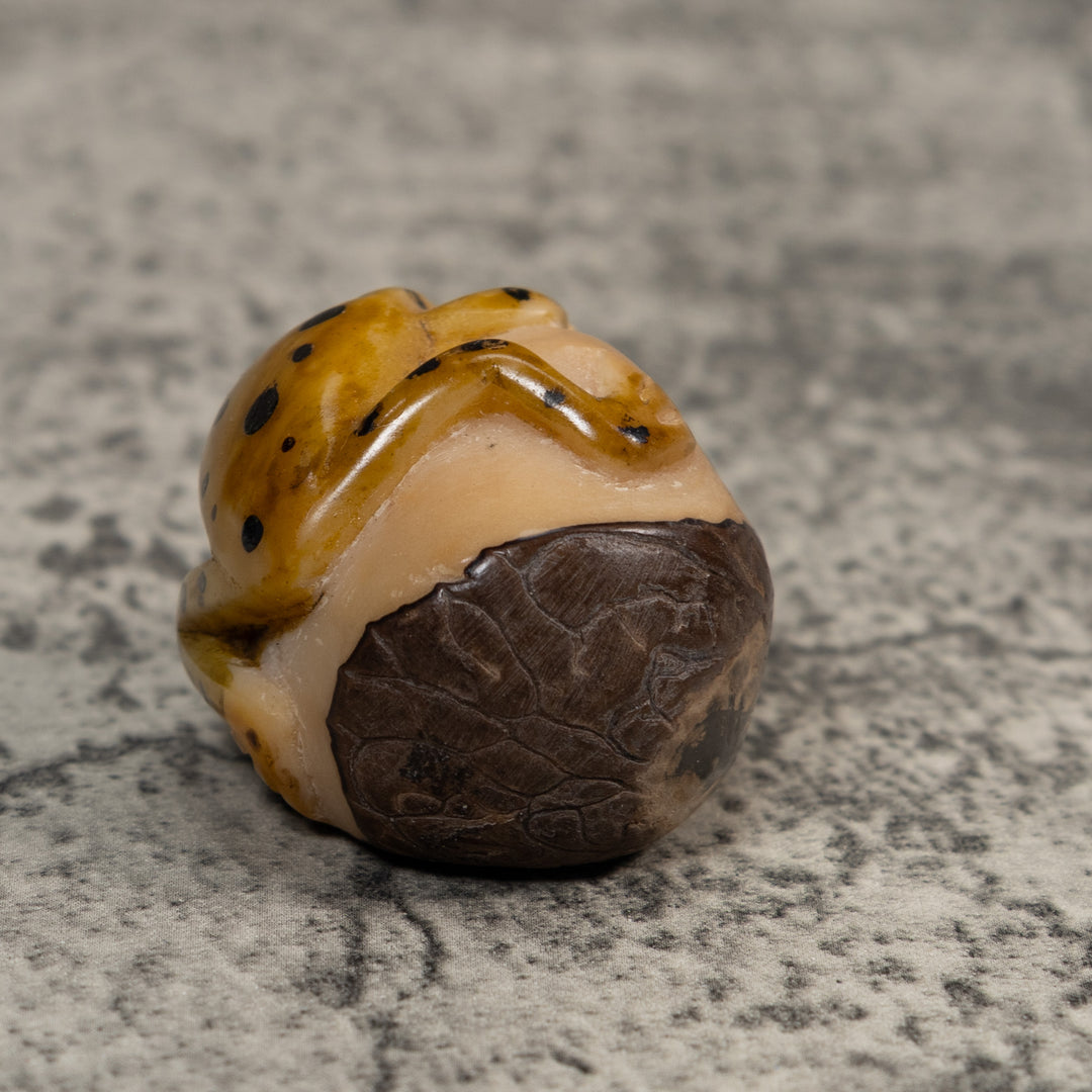 Gold And Black  Poison Dart Frog Tagua Carving