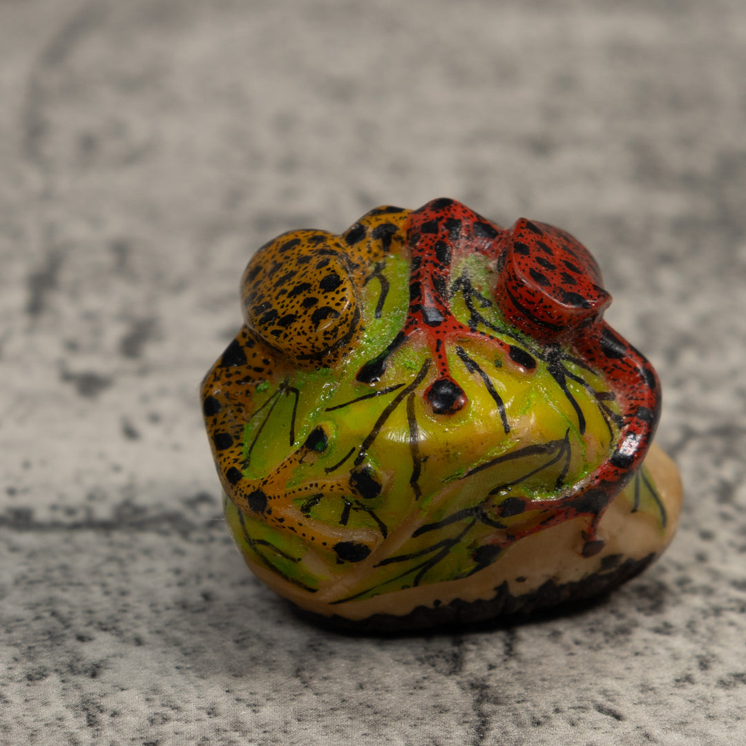 Gold Black And Red Double Poison Dart Frog Tagua Carving