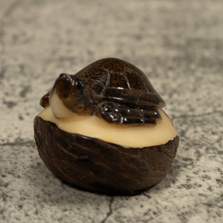 Sea Turtle Tagua Carving