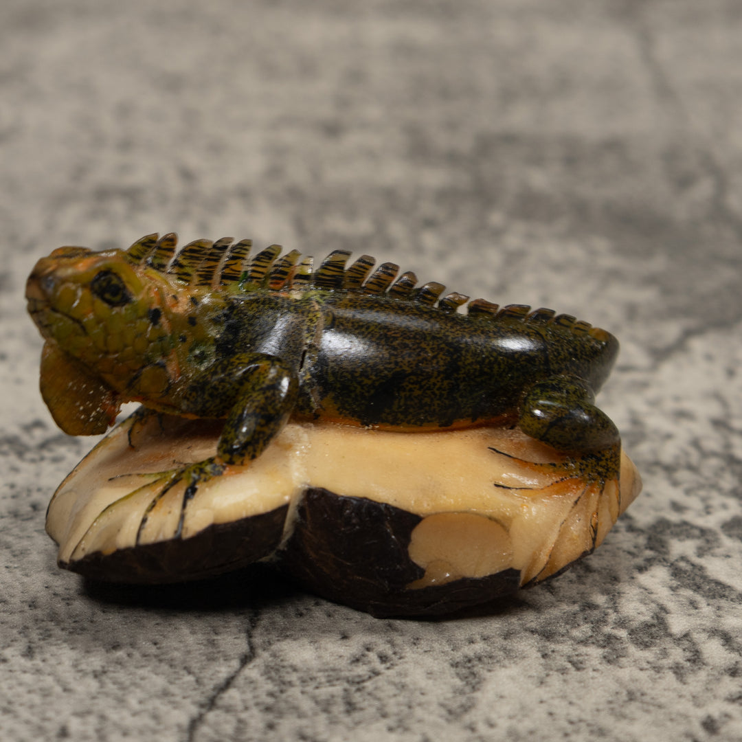 Iguana Lizard Reptile Tagua Carving