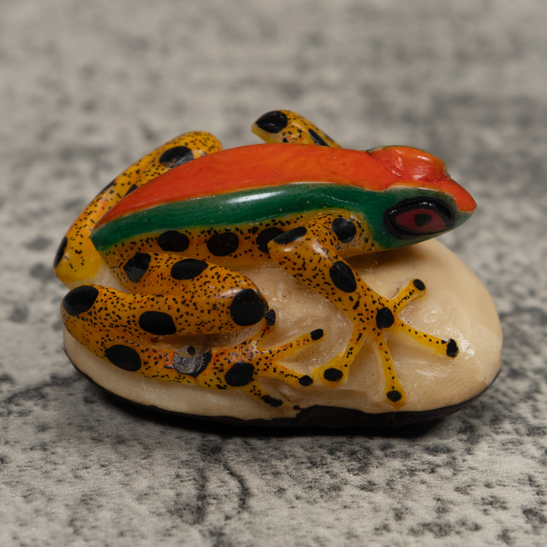 Poison Dart Frog Tagua Carving