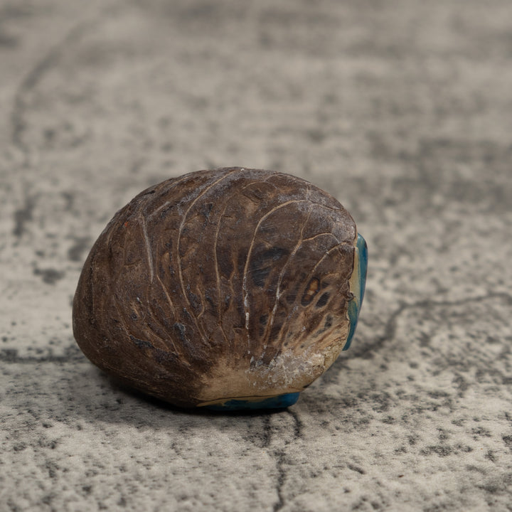 Vintage Blue And Black Poison Dart Frog Tagua Carving