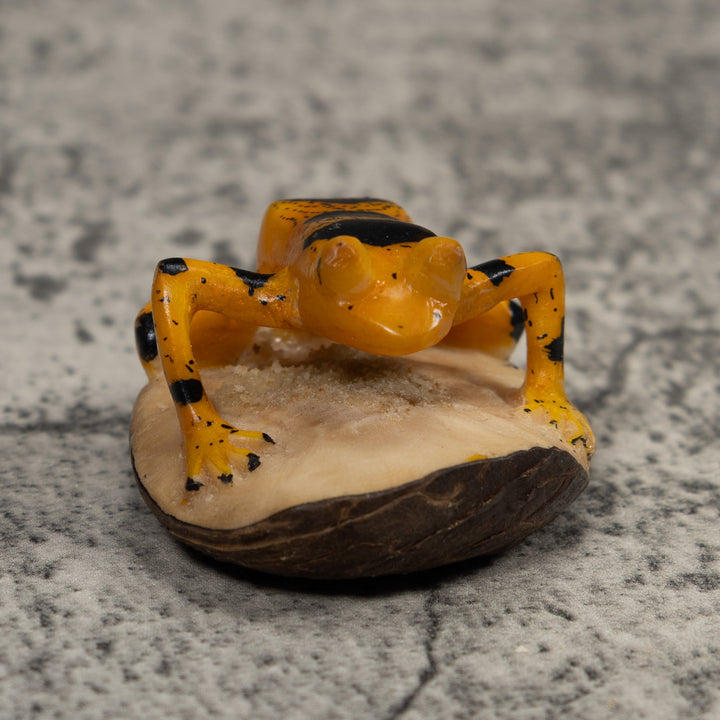 Vintage Gold And Black Frog Tagua Carving