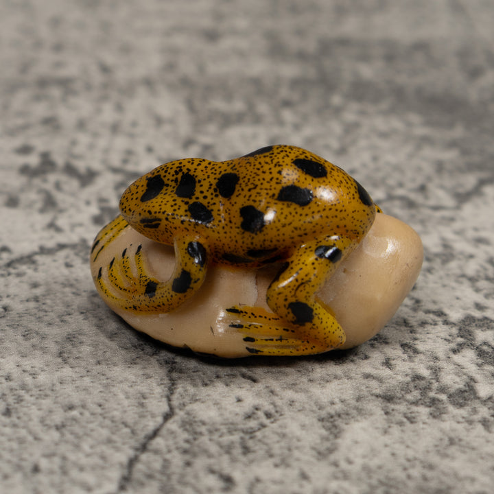 Vintage Golden Frog Tagua Carving