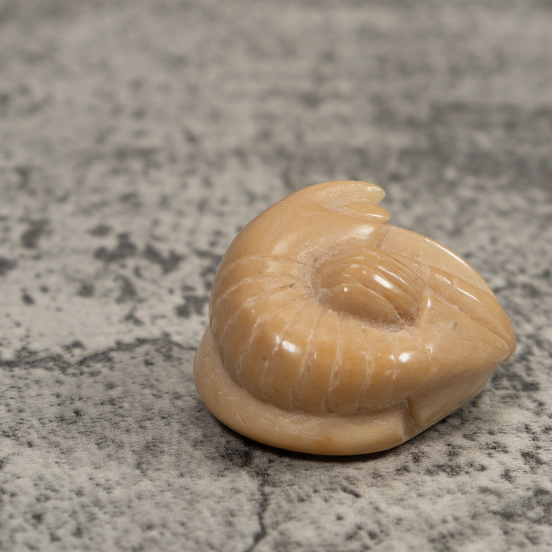 Vintage White Shrimp Tagua Carving