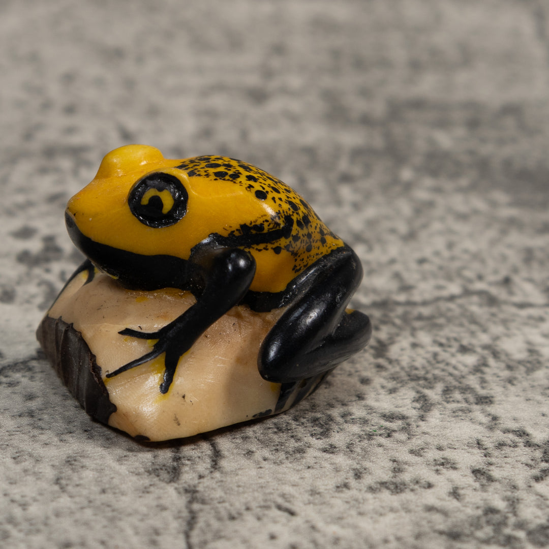 Vintage Black And Gold Poison Dart Frog Tagua Carving