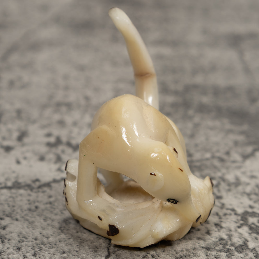 White Natural Coatimundi Eating Yucca Tagua Carving