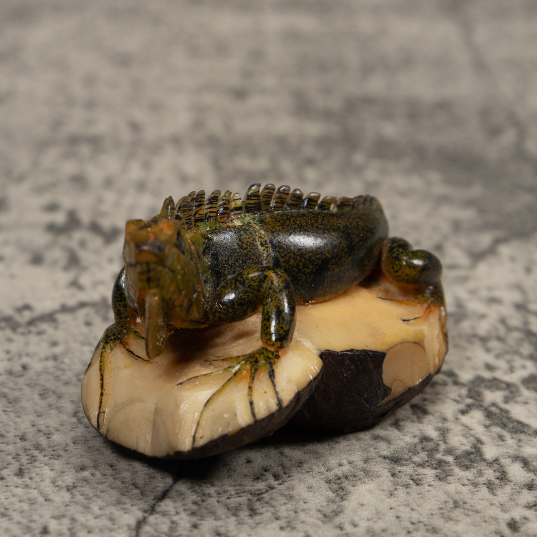 Iguana Lizard Reptile Tagua Carving