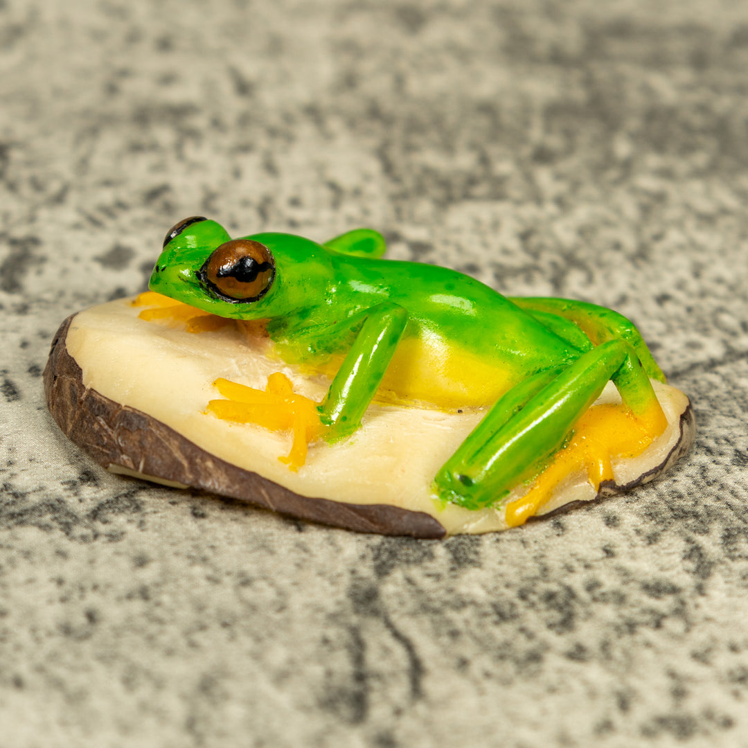 Red-Eye Tree Frog Tagua Carving