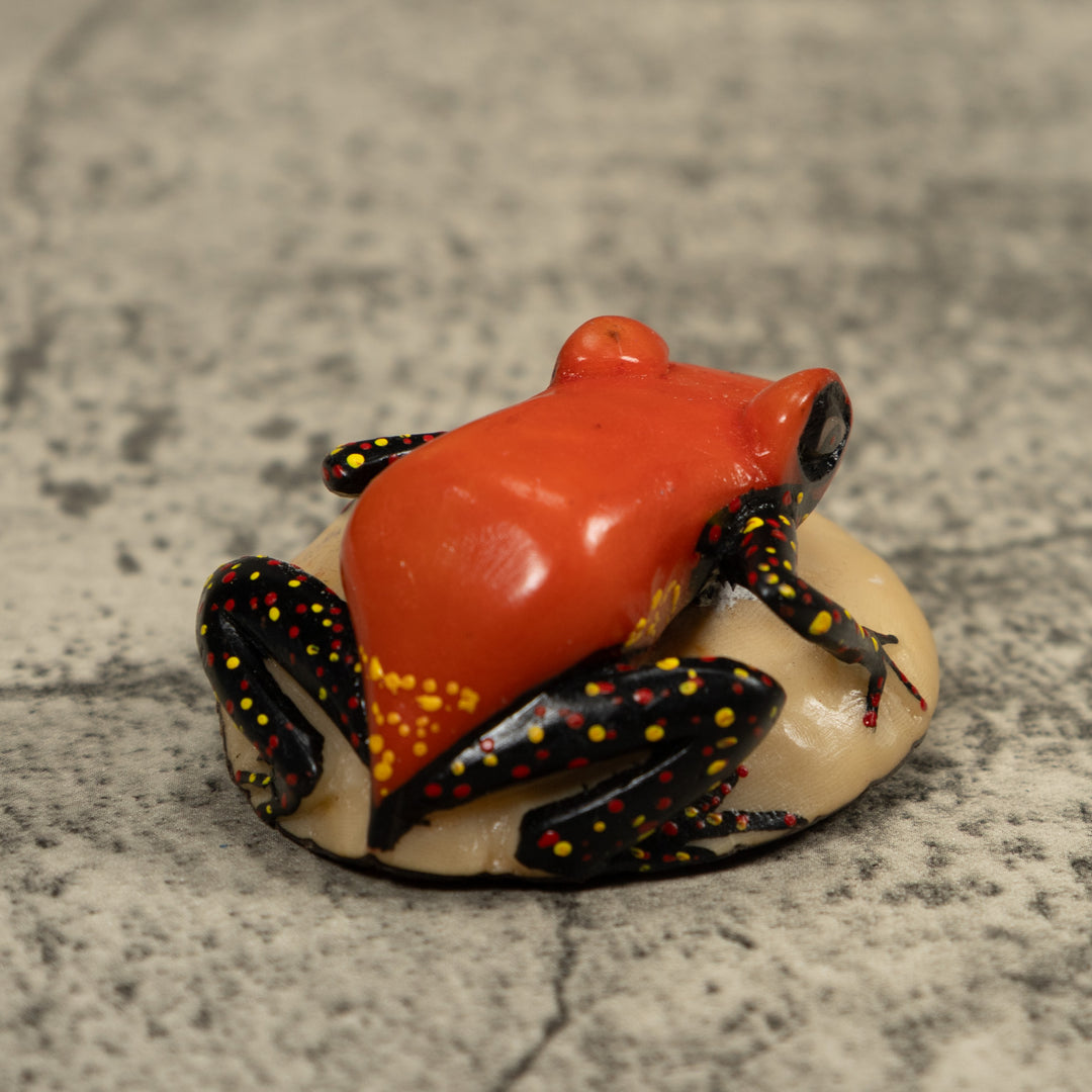 Vintage Red And Black Poison Dart Frog Tagua Carving