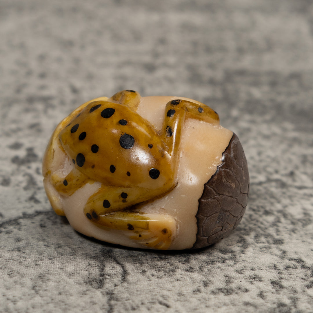 Gold And Black  Poison Dart Frog Tagua Carving