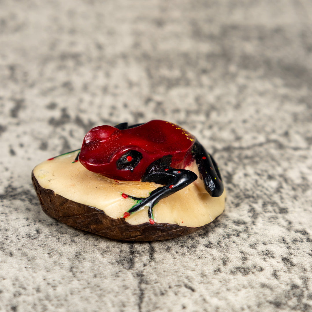 Black And Red Poison Dart Frog Tagua Carving