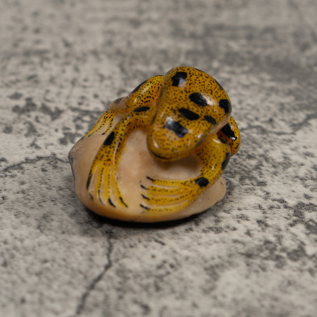 Vintage Golden Frog Tagua Carving
