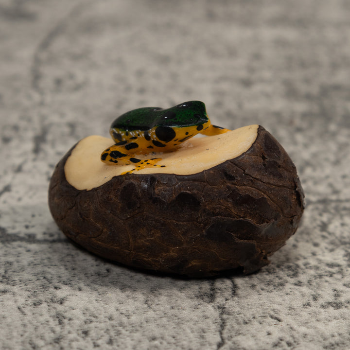 Gold And Black Poison Dart Frog Tagua Carving