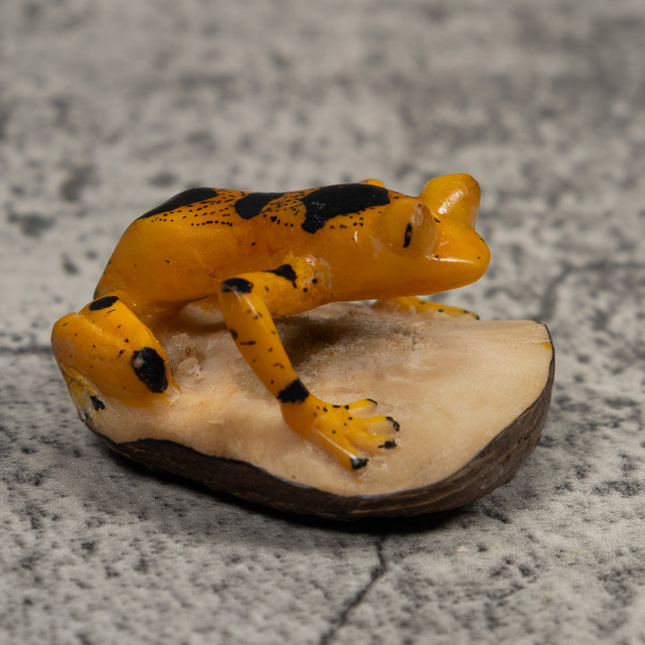 Vintage Gold And Black Frog Tagua Carving