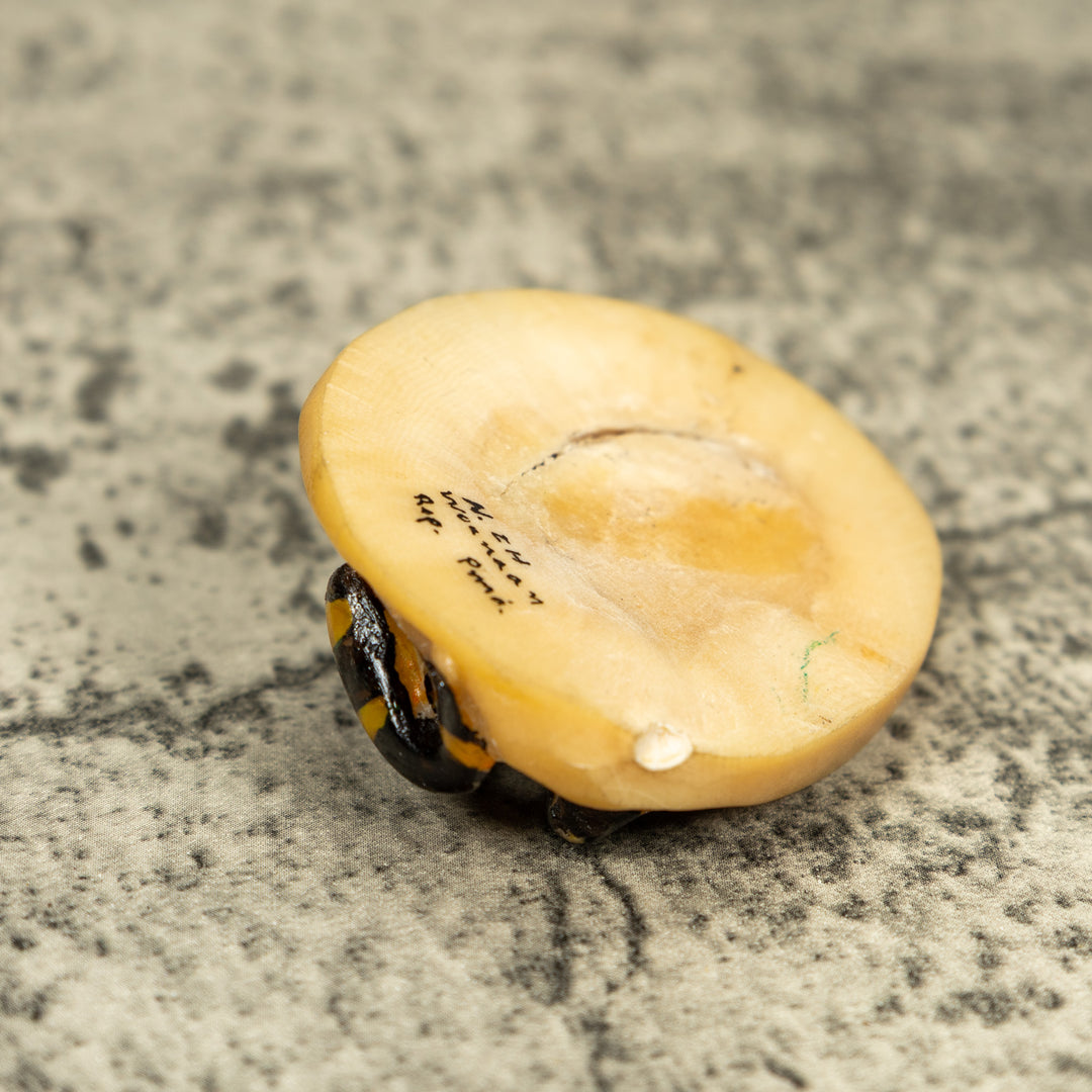 Vintage Black And Gold Frog Tagua Carving