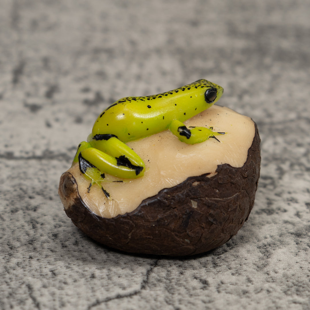 Poison Dart Frog Tagua Carving