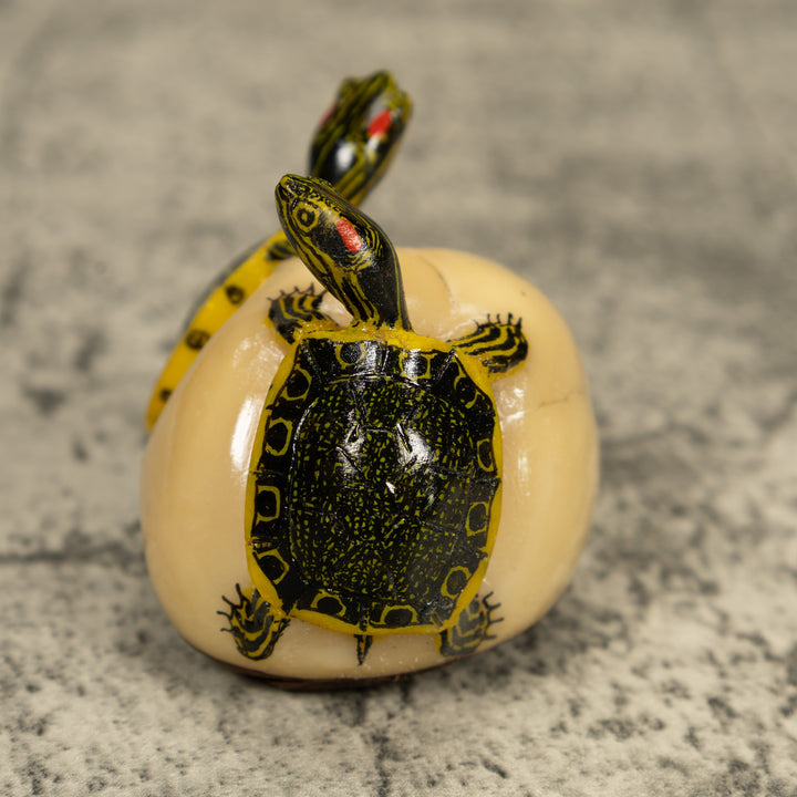 Double (2) Tortoise Turtle Tagua Carving
