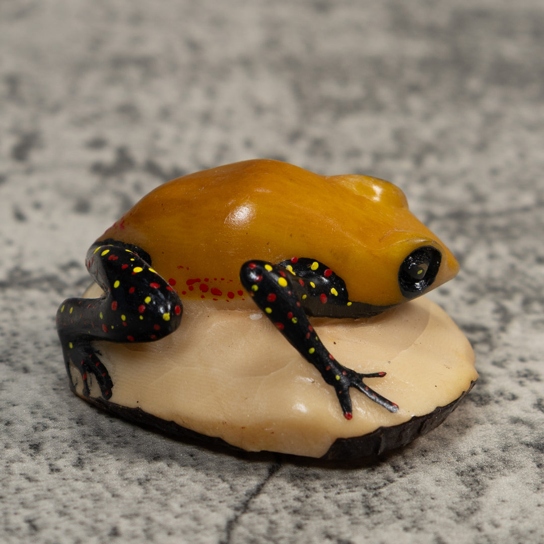 Gold And Black Poison Dart Frog Tagua Carving