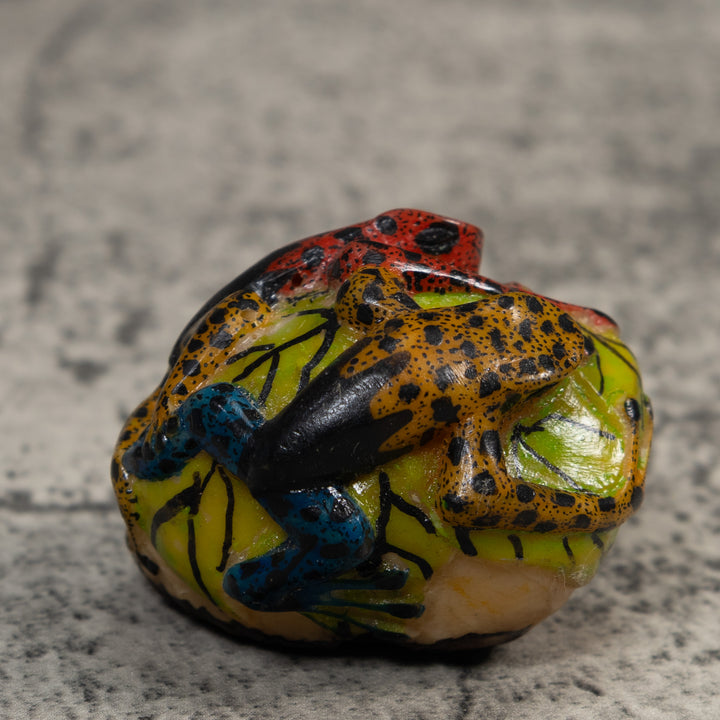 Gold Black And Red Double Poison Dart Frog Tagua Carving