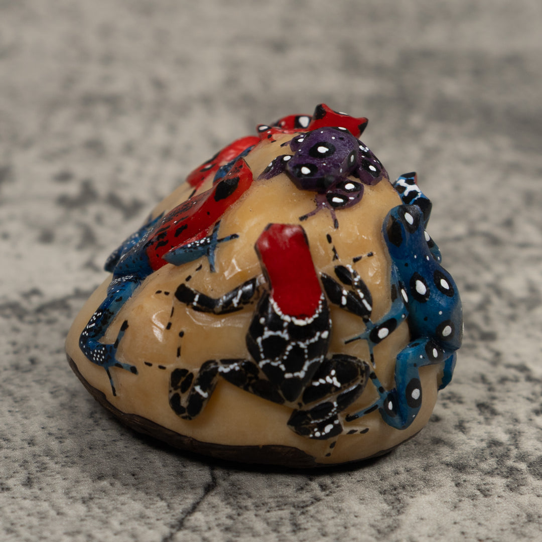 Five Poison Dart Frog Tagua Carving