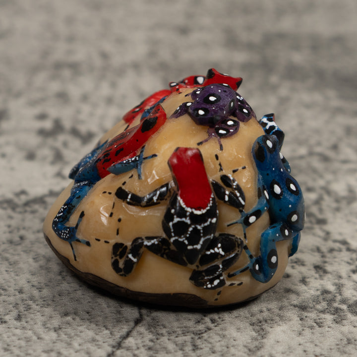 Five Poison Dart Frog Tagua Carving