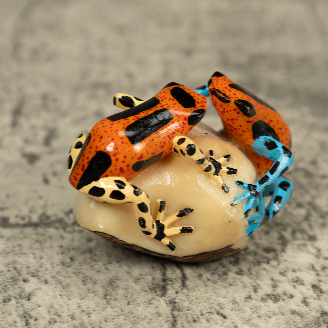 Double Poison Dart Frog Tagua Carving