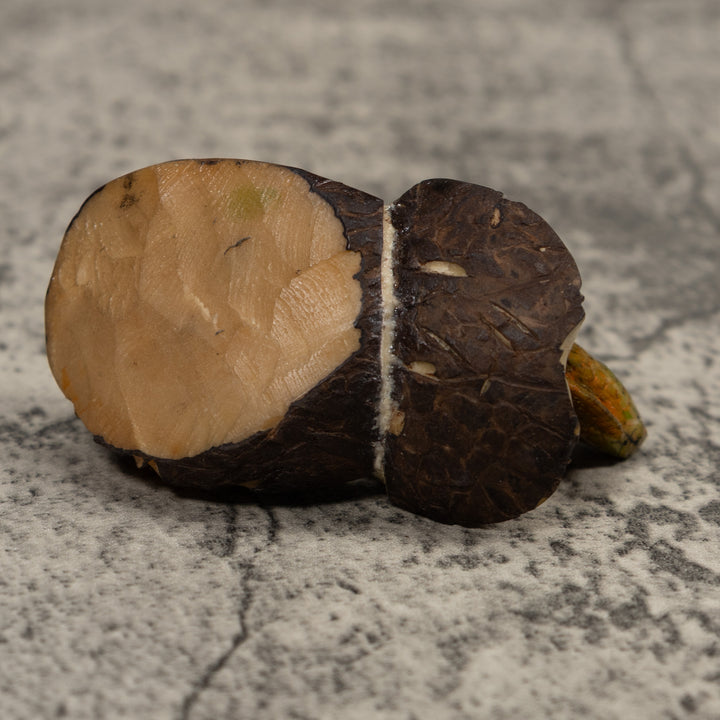 Iguana Lizard Reptile Tagua Carving