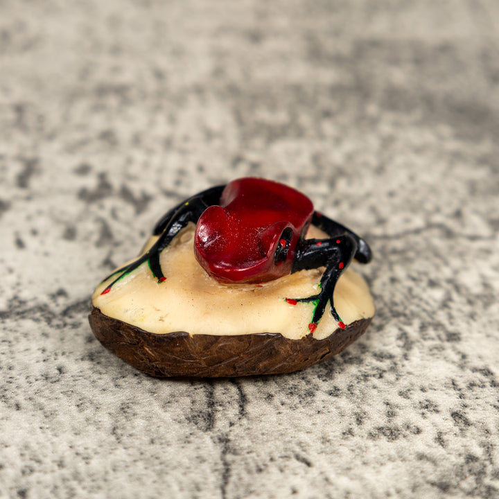 Black And Red Poison Dart Frog Tagua Carving