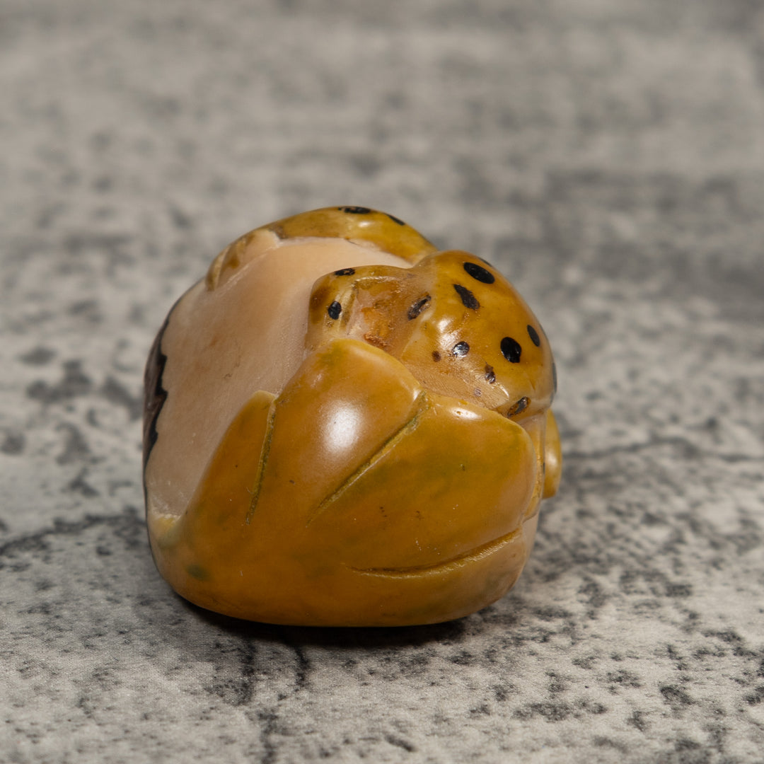 Gold And Black  Poison Dart Frog Tagua Carving